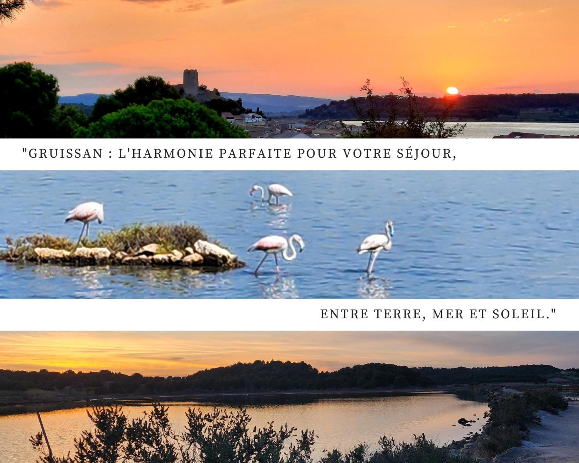 L'Eden - Vue Magnifique Sur Le Port, Les Chalets & La Mer - Gruissan Eksteriør bilde